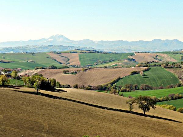 All'ombra degli Ulivi B&B San Marcello  Esterno foto